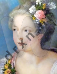 Marie Victoire Sophie de Noailles