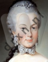 Maria Amalia Josepha Johanna Antonia von Habsburg-Lotharingen